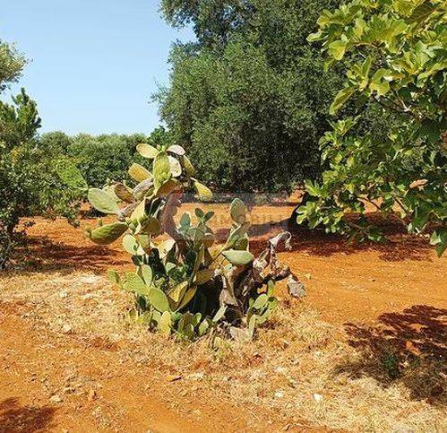 Terreno a Carovigno in Via Serranova - Foto 4