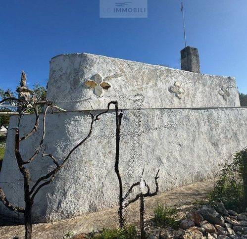 Rustico / casale a Carovigno in Contrada Colacurto - Foto 4