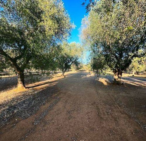 Rustico / casale a Carovigno in Contrada Canali 21 - Foto 5