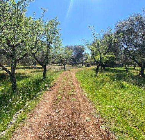 Rustico / casale a Carovigno in Contrada Colacurto - Foto 2