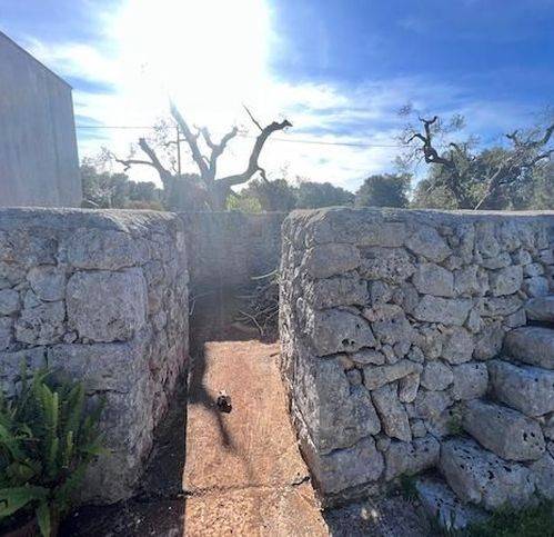 Rustico / casale a Carovigno in Contrada Canali - Foto 3