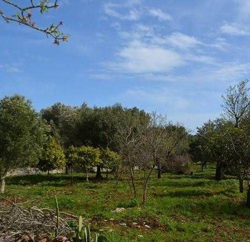Rustico / casale a Carovigno in Contrada Belvedere - Foto 2