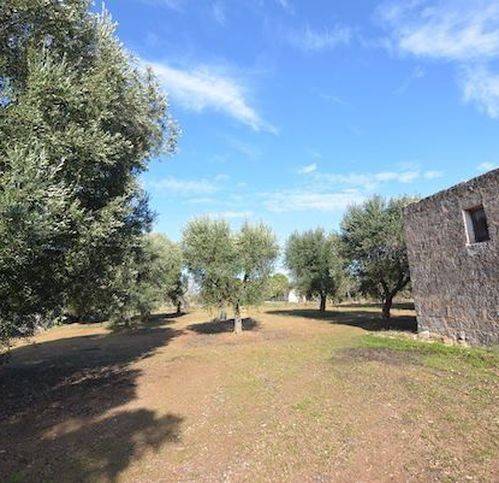 Rustico / casale a Carovigno in Via Specchiolla - Foto 2