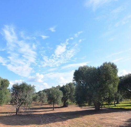 Rustico / casale a Carovigno in Via Specchiolla - Foto 5