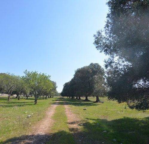 Rustico / casale a Ostuni in Contrada Santo Scalone - Foto 5