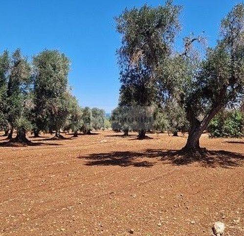 Villa a Carovigno in Contrada Caselli - Foto 2