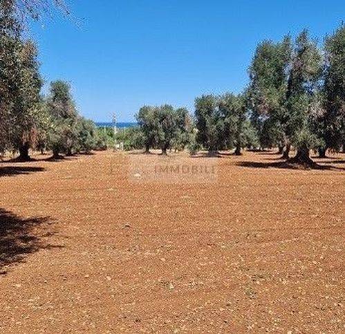 Villa a Carovigno in Contrada Caselli - Foto 5