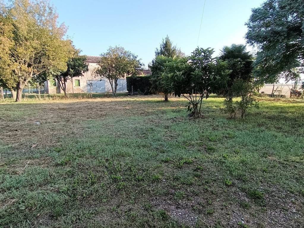 Villa a Crespino - Foto 3