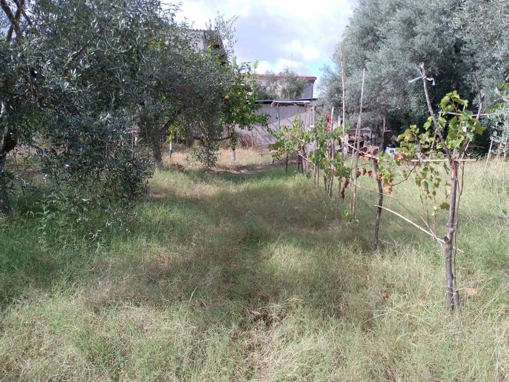 Terreno a Marina di gioiosa ionica in Strada Cattolica - Foto 2