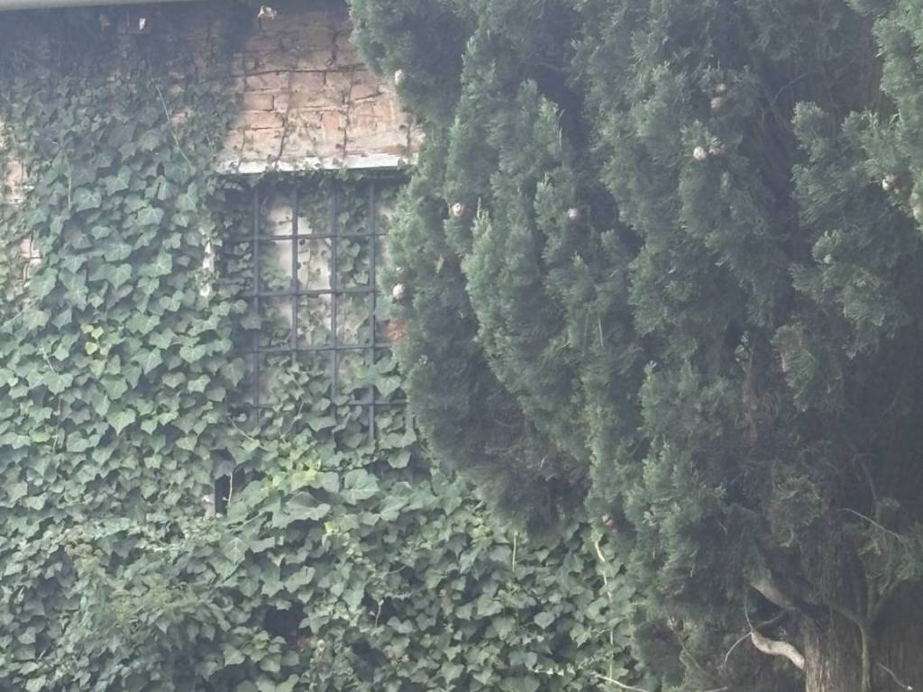 Villa a Ponzano veneto - Foto 4