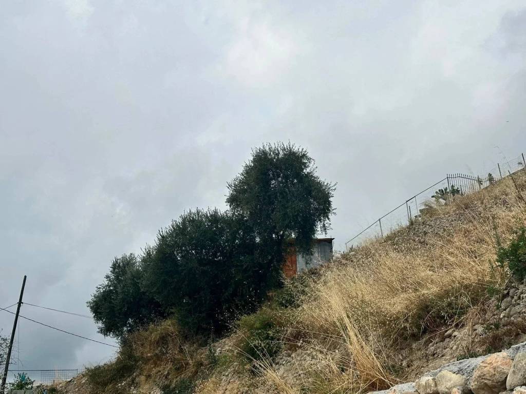 Terreno a Ventimiglia in Via Monsignor Nicolò Peitavino - Foto 5