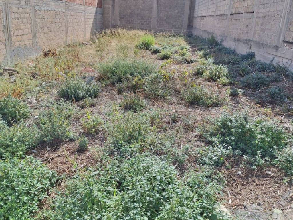 Terreno a Solarino in via livenza - Foto 2