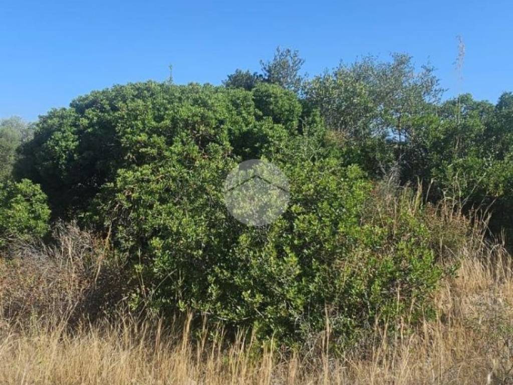 Terreno a Quartucciu in Località sant'isidoro - Foto 3