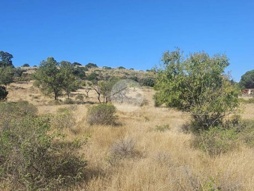Terreno a Quartucciu in Località sant'isidoro - Foto 5