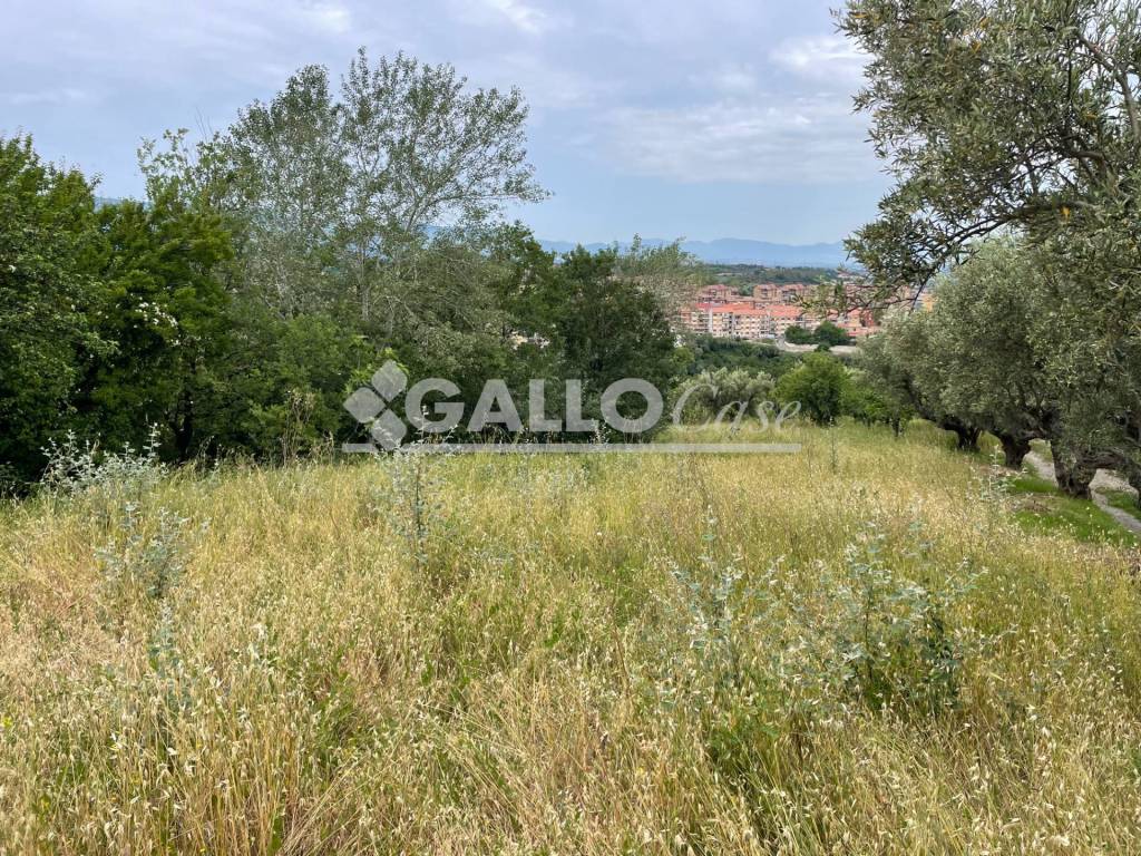 Terreno a Cosenza - Foto 3