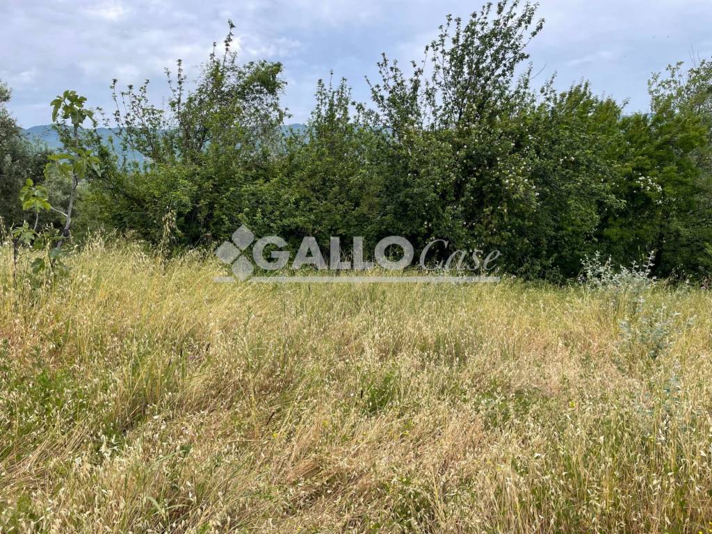 Terreno a Cosenza - Foto 4
