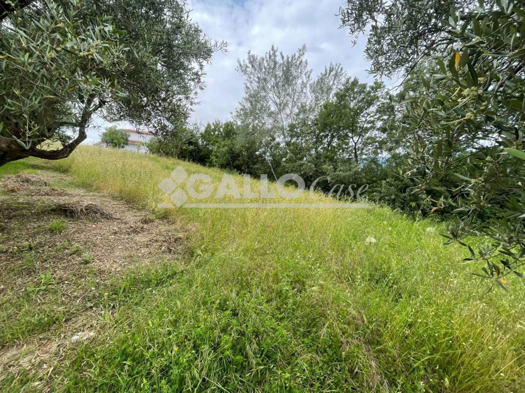 Terreno a Cosenza - Foto 5
