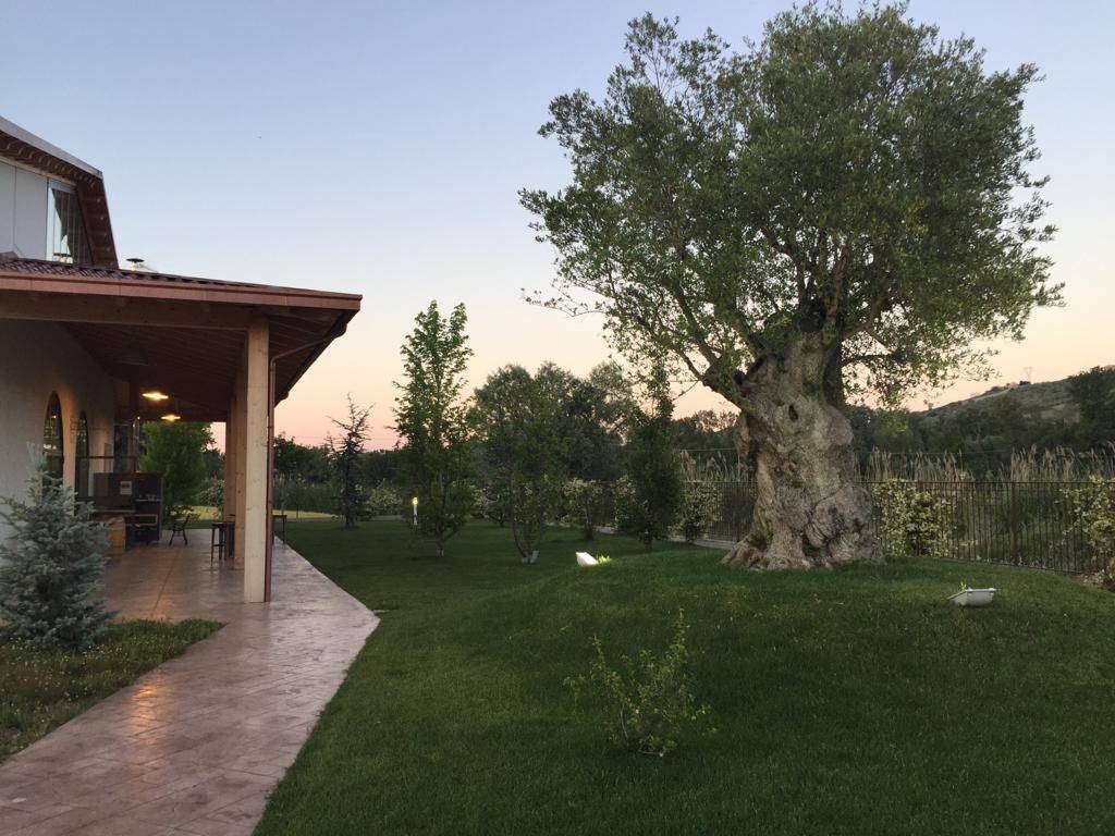 Immobile a Loreto aprutino - Foto 2