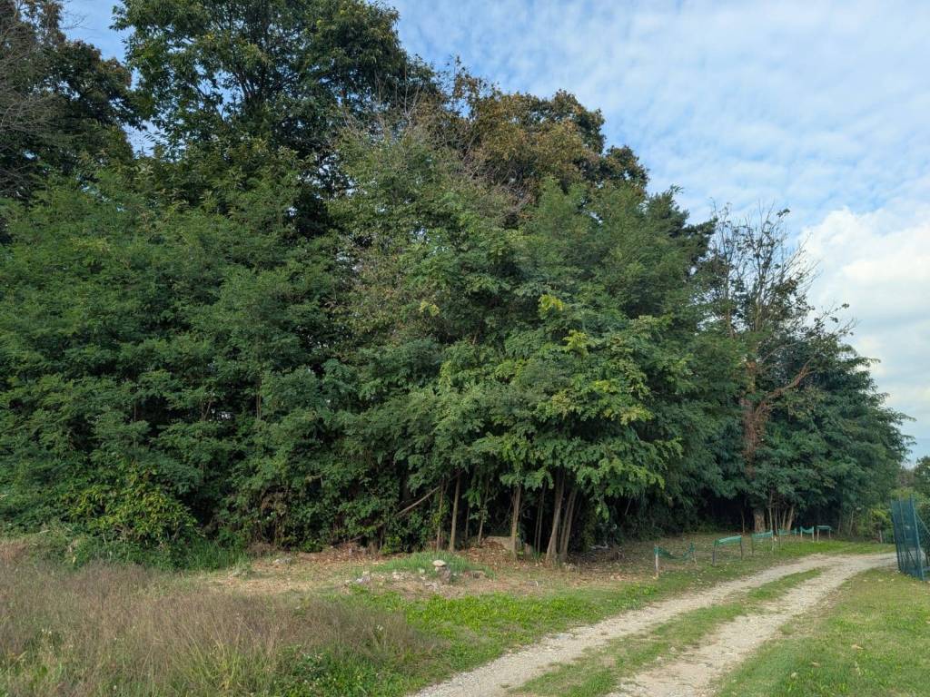 Terreno a Arcisate - Foto 2