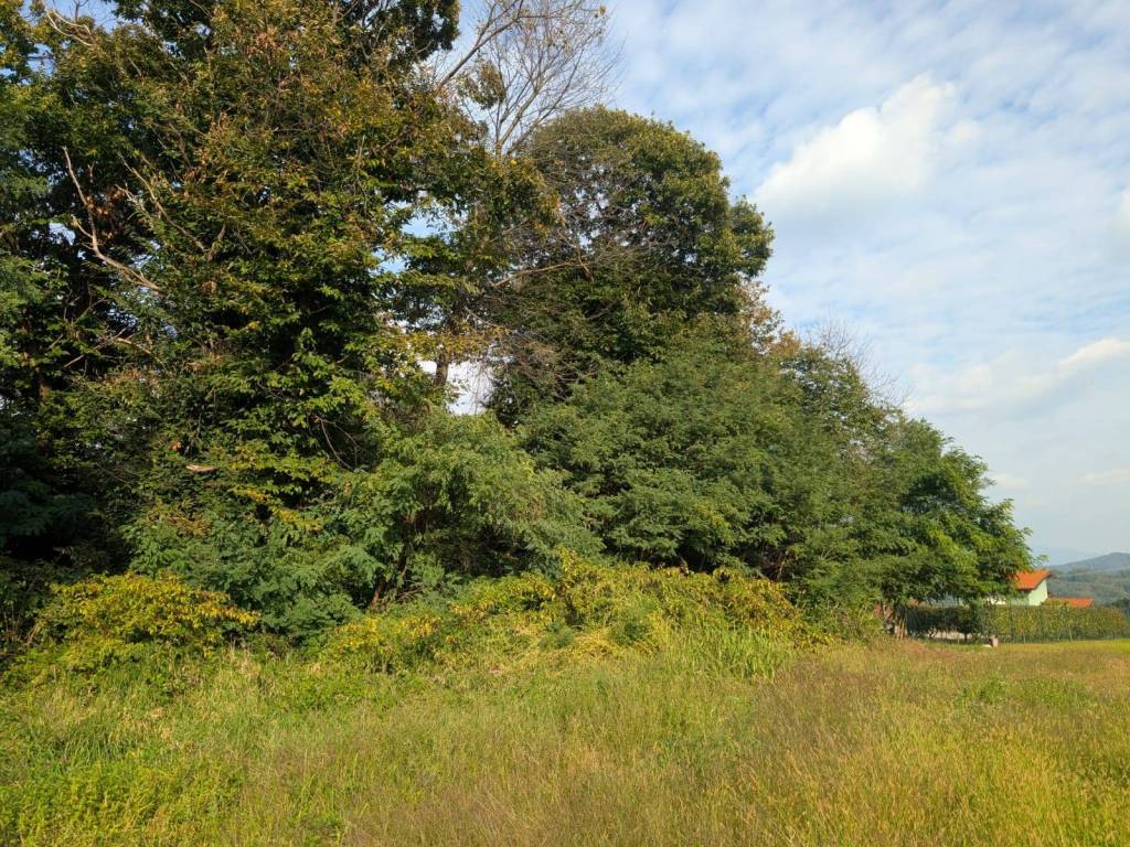 Terreno a Arcisate - Foto 3