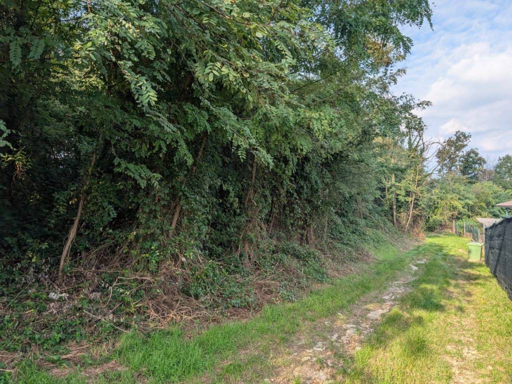 Terreno a Arcisate - Foto 5