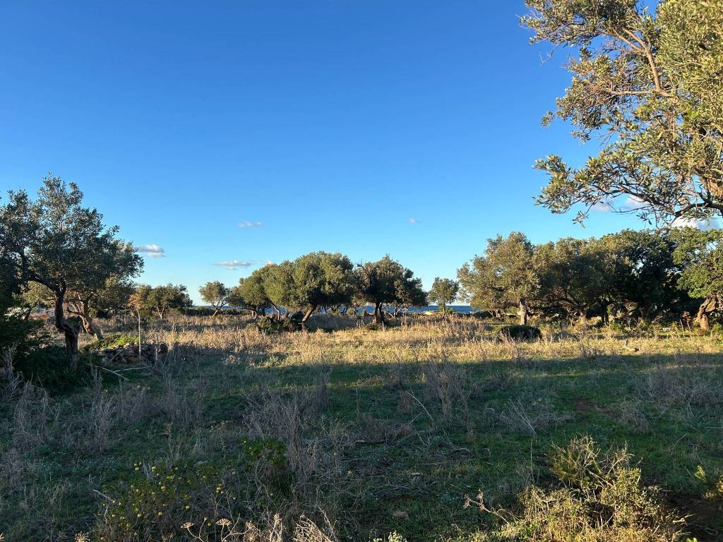 Terreno a Cinisi in Via Sandro Pertini - Foto 2