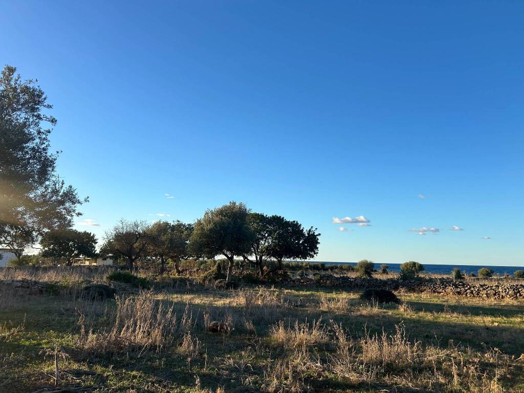 Terreno a Cinisi in Via Sandro Pertini - Foto 3
