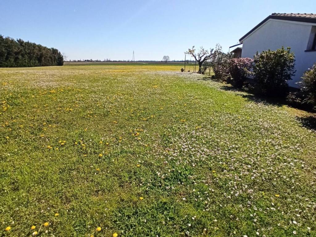 Terreno a Arquà polesine in Via Arginone Cornè, 1050 - Foto 3