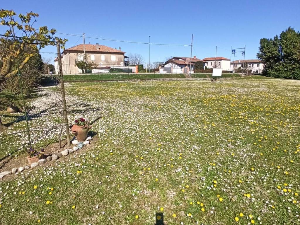 Terreno a Arquà polesine in Via Arginone Cornè, 1050 - Foto 4