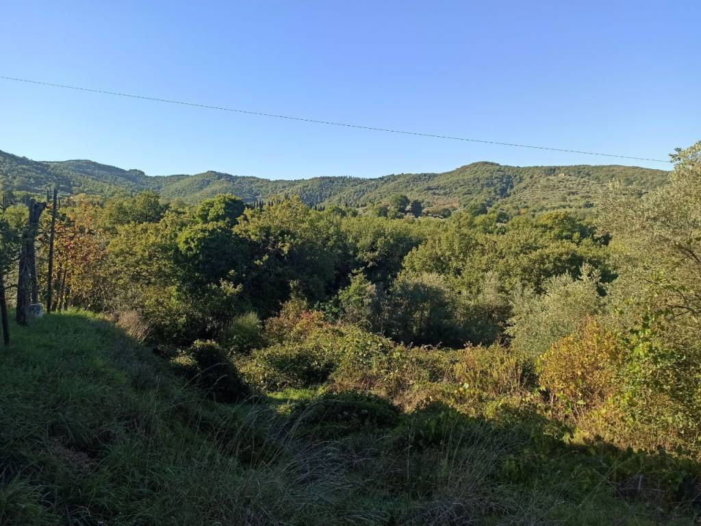 Terreno a Paciano in Via della Torre - Foto 4
