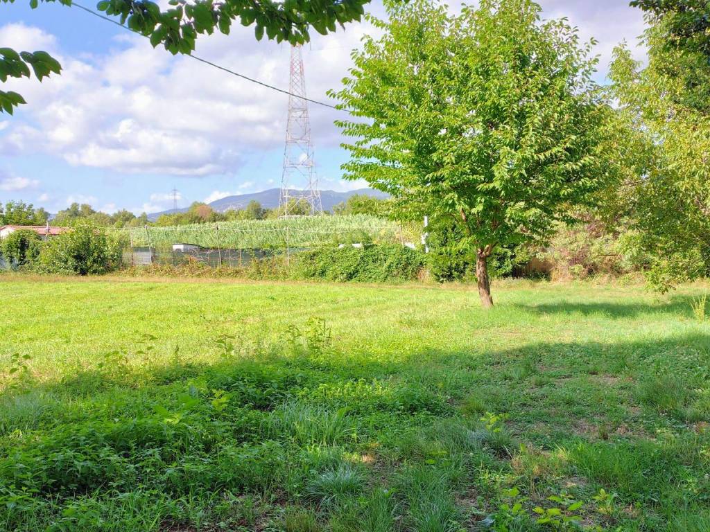Rustico / casale a Arcola in Via Giovato - Foto 4