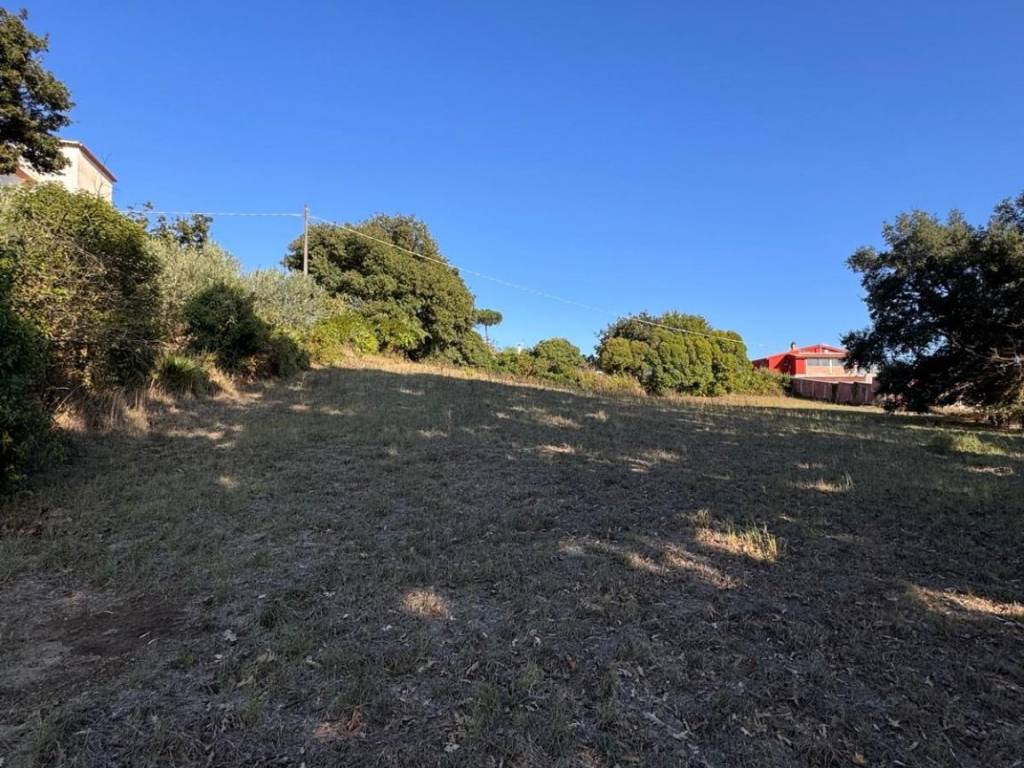Terreno a Nettuno in Via Spino Bianco - Foto 2
