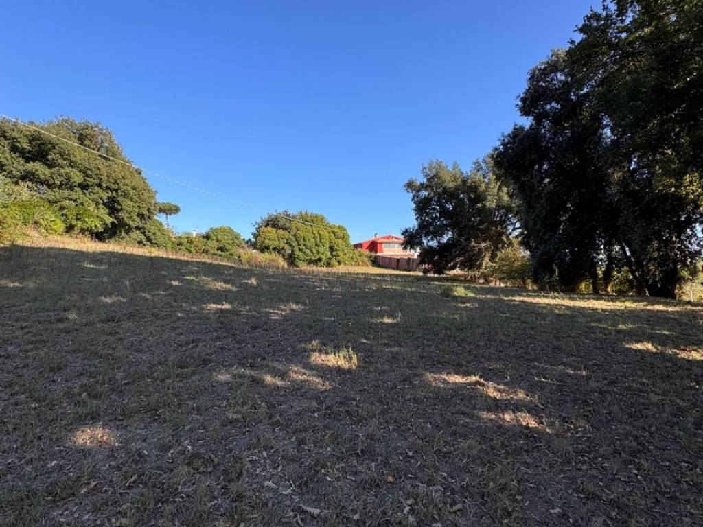 Terreno a Nettuno in Via Spino Bianco - Foto 3