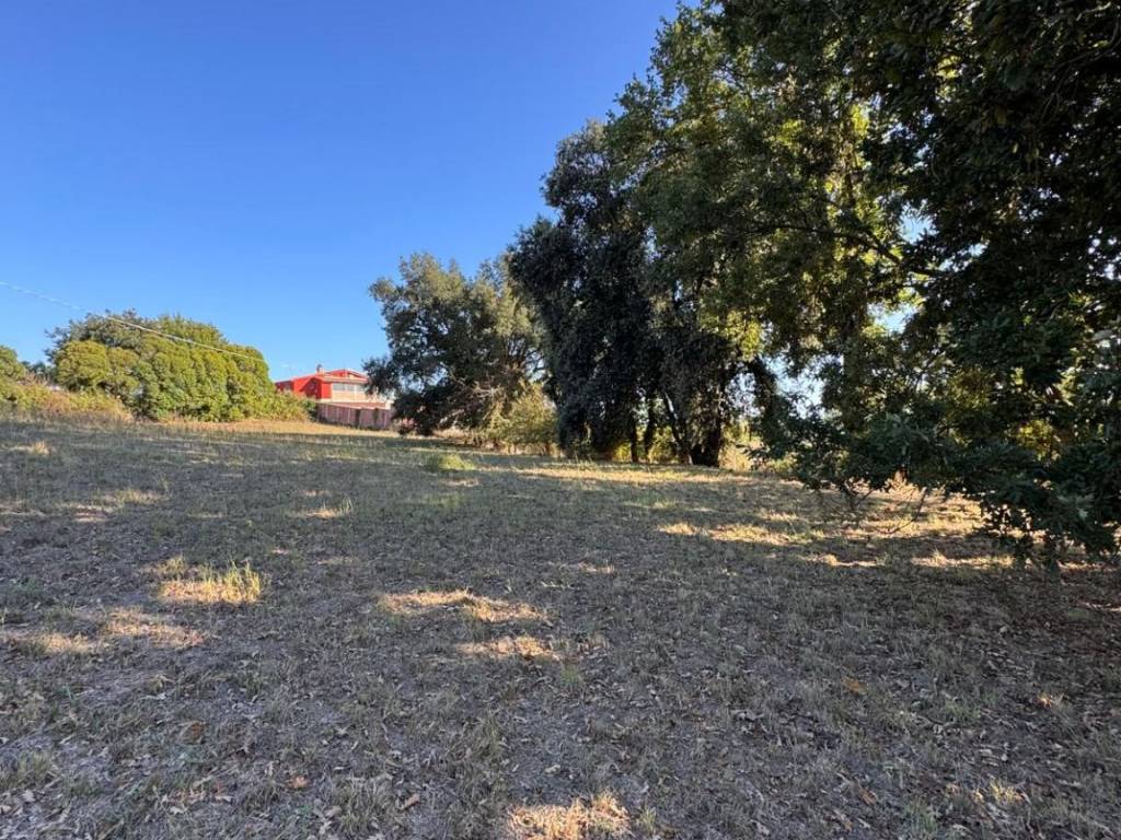 Terreno a Nettuno in Via Spino Bianco - Foto 4