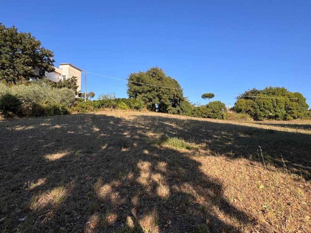 Terreno a Nettuno in Via Spino Bianco - Foto 5