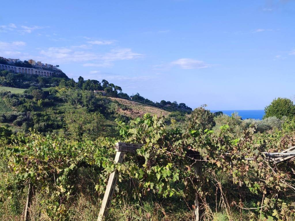Terreno a Silvi in Strada Provinciale di Atri - Foto 2