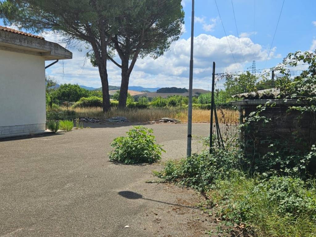 Immobile a Guardistallo in Località Casino di Terra - Foto 5