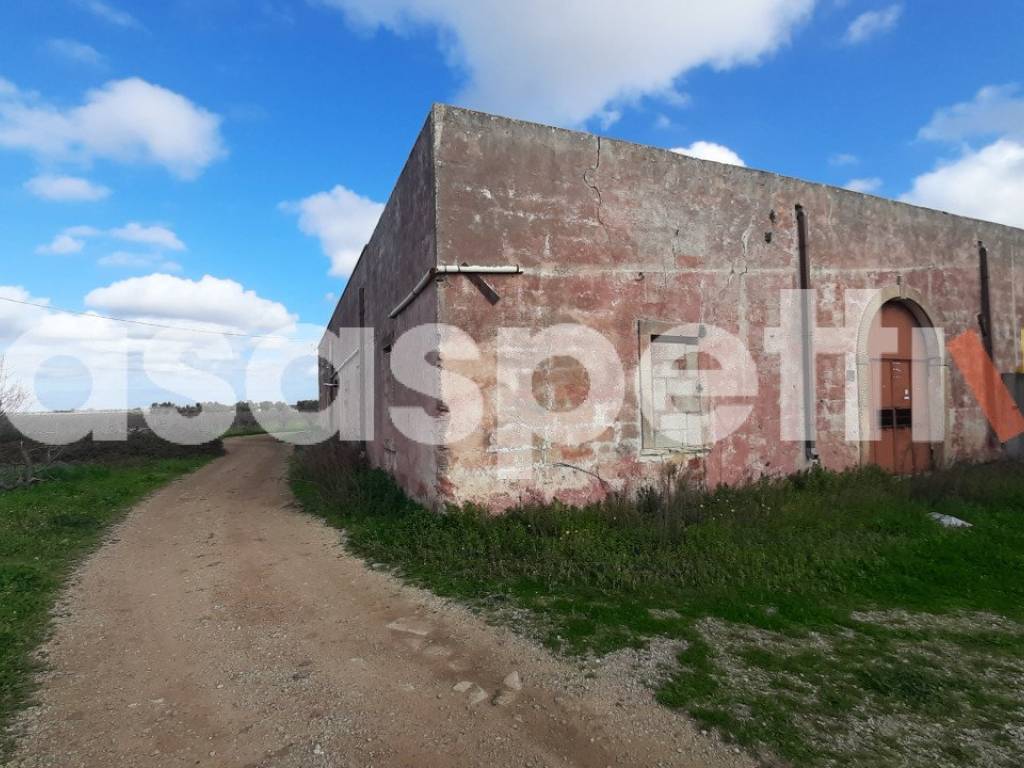 Rustico / casale a Salice salentino in Località Casino Perrone snc - Foto 2