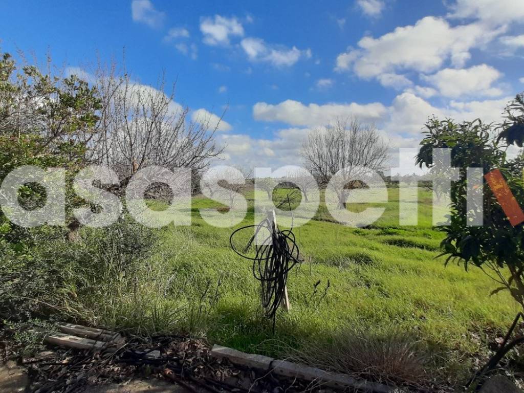 Rustico / casale a Salice salentino in Località Casino Perrone snc - Foto 5