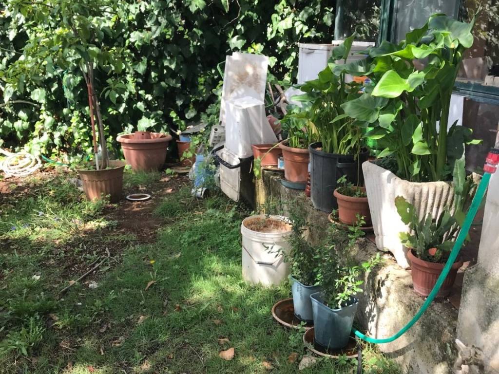 Rustico / casale a Roviano in Viale Europa - Foto 4