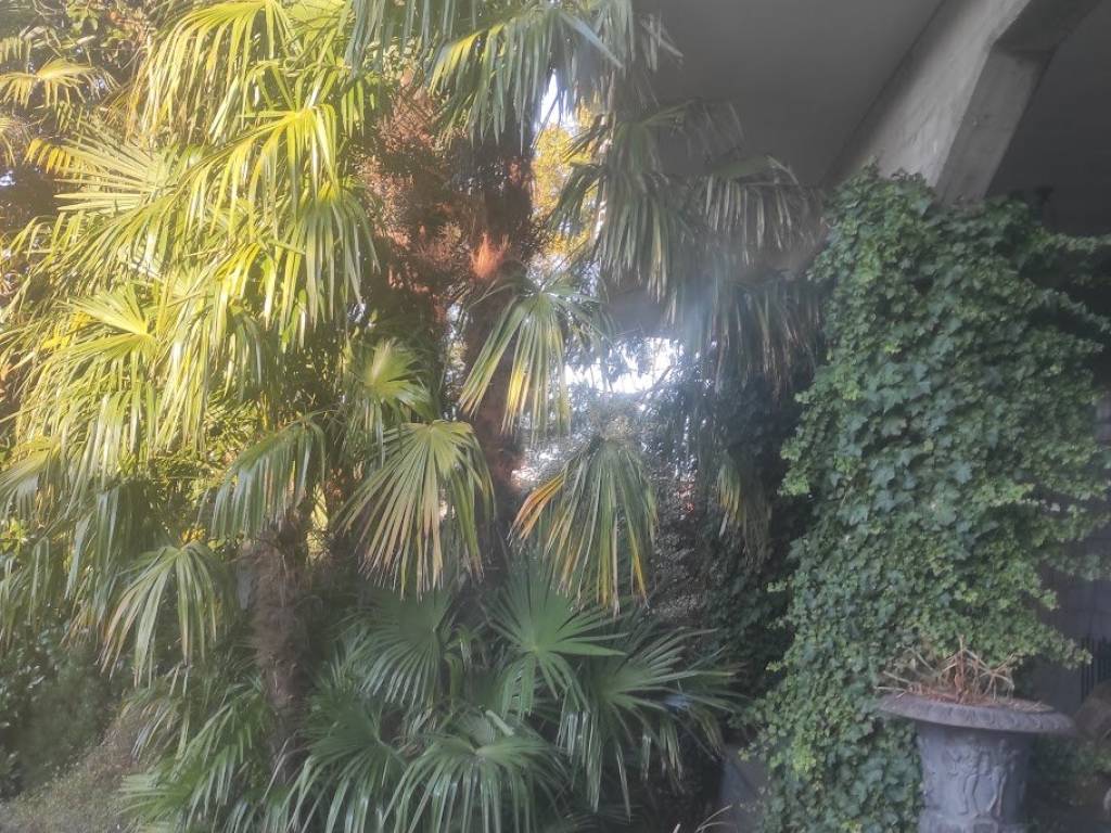 Villa a Banchette - Foto 3