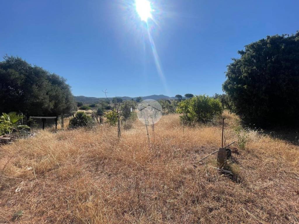 Terreno a Quartucciu in Località sant'isidoro - Foto 3