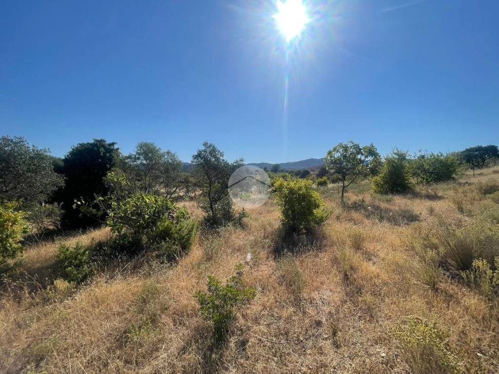 Terreno a Quartucciu in Località sant'isidoro - Foto 4
