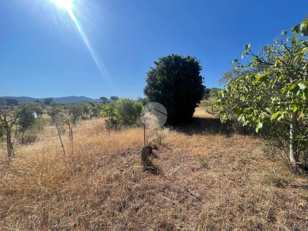 Terreno a Quartucciu in Località sant'isidoro - Foto 5