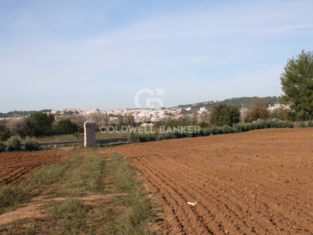 Rustico / casale a Ruffano in S.P. 179 - Foto 4