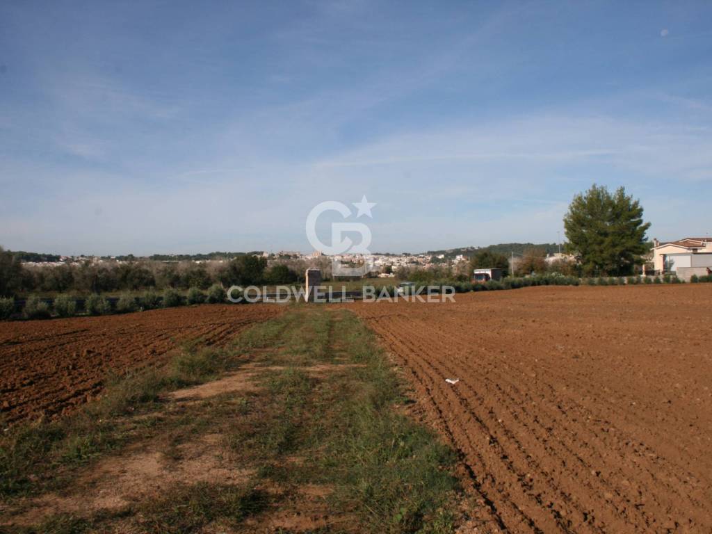 Rustico / casale a Ruffano in S.P. 179 - Foto 5