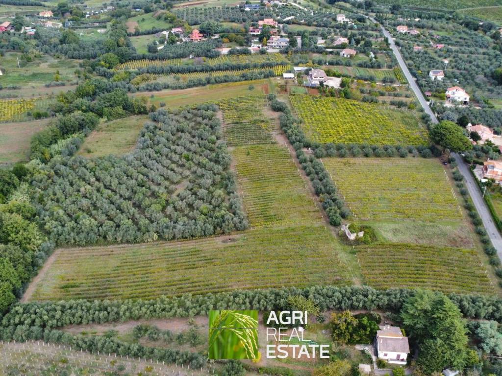 Terreno a Genzano di roma in Via Landi, 15 - Foto 2