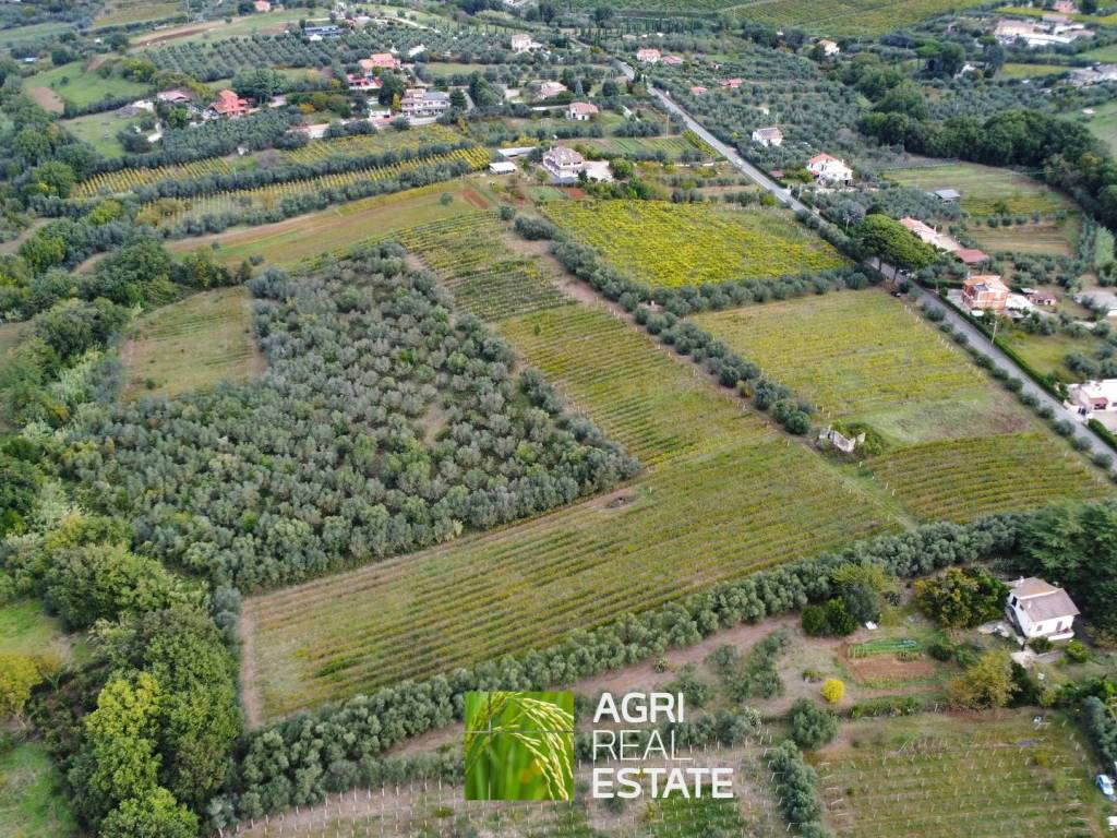 Terreno a Genzano di roma in Via Landi, 15 - Foto 3