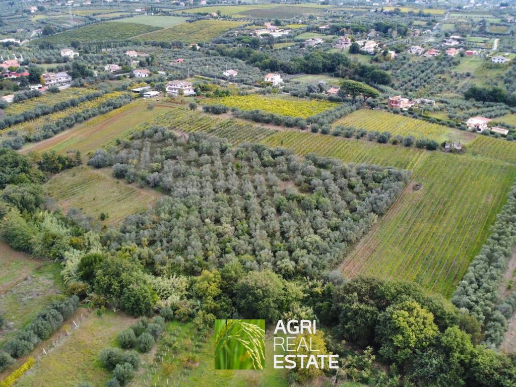 Terreno a Genzano di roma in Via Landi, 15 - Foto 4