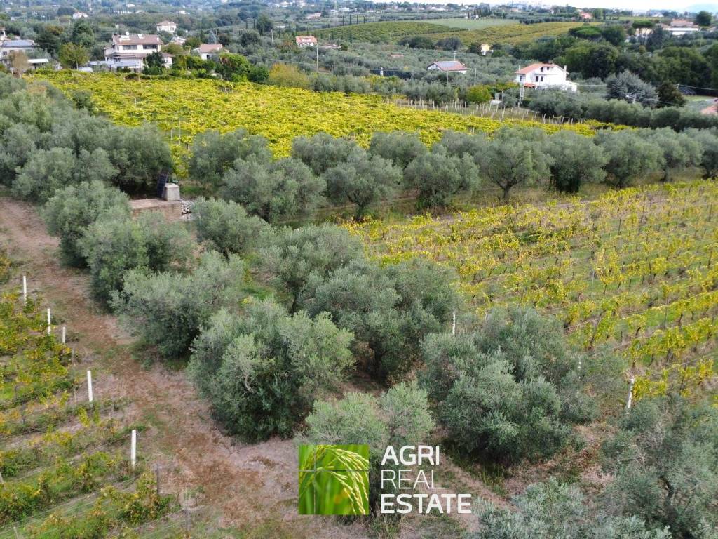 Terreno a Genzano di roma in Via Landi, 15 - Foto 5